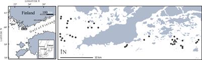 Mussels and canopy-forming algae as ecosystem engineers: their contribution to community organization in the rocky sublittoral